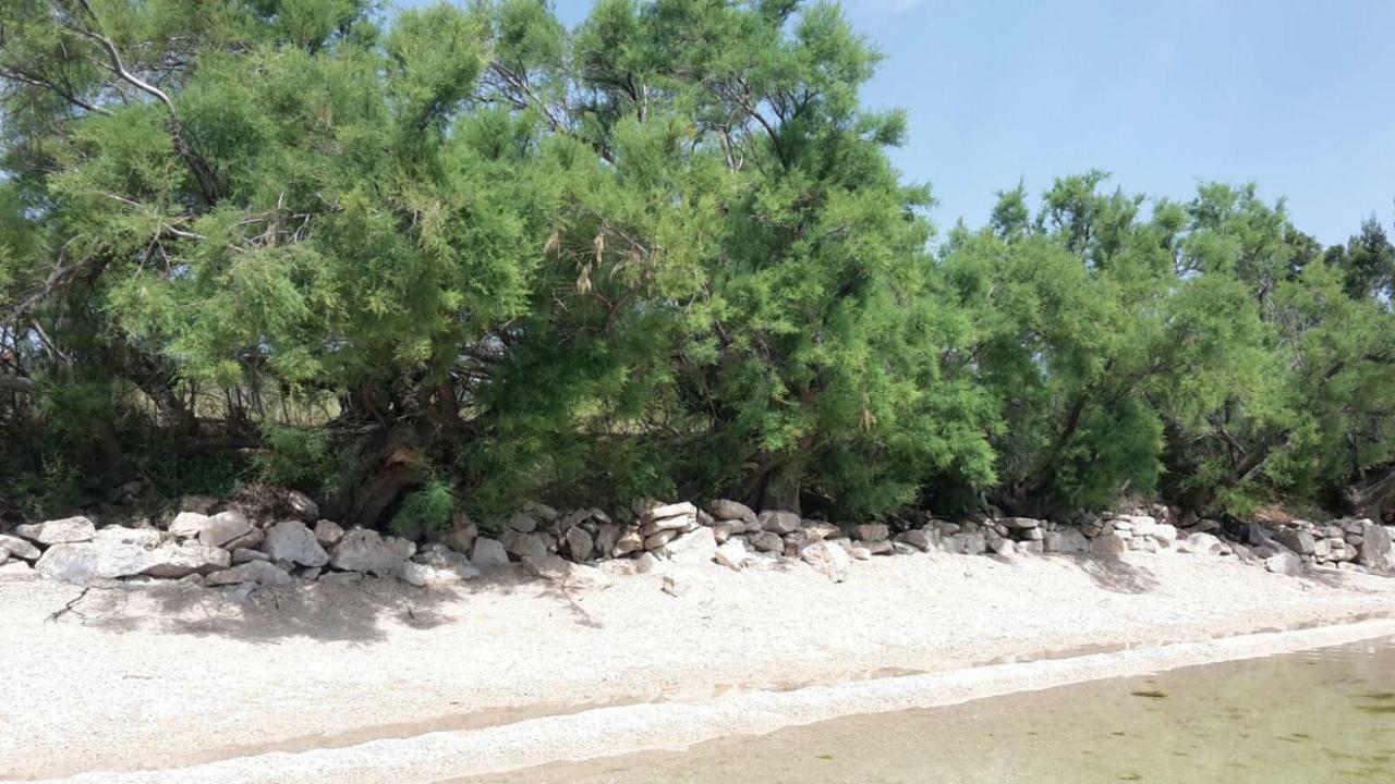 Apartmani Neva, Pridraga 外观 照片